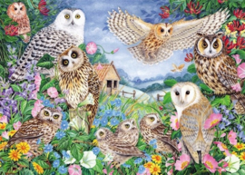 Falcon de Luxe 11286 - Owls in the Wood - 1000 stukjes