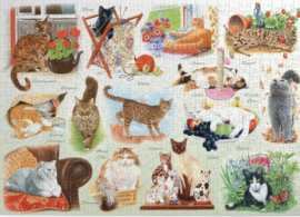 House of Puzzles - A Clowder of Cats - 500XL stukjes