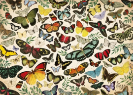 Jumbo -  Vlinder Poster - 1000 stukjes