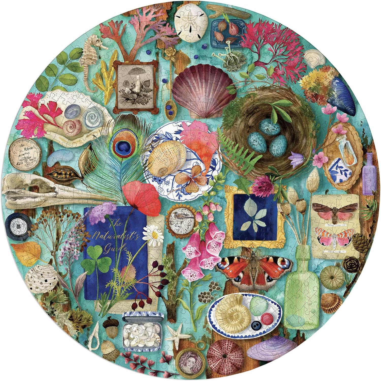 eeBoo - Collecting  Nature - 500 stukjes