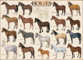 Eurographics 0078 - Horses - 1000 stukjes