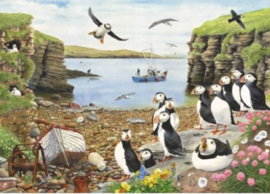 House of Puzzles - Puffin Parade - 500XL stukjes