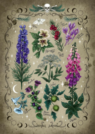 Ravensburger - Giftige Planten - 1000 stukjes