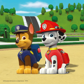 Ravensburger - Paw Patrol Team op 4 Poten - 3x49 stukjes