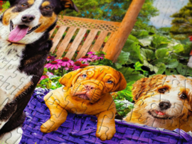 Enjoy 2040 - Puppy Patch - 1000 stukjes
