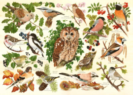 House of Puzzles - Woodland Birds - 500XL stukjes