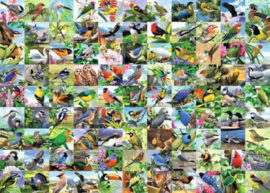 Ravensburger - 99 Delightful Birds - 300XL stukjes