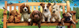 Educa - Puppies op de Bank - 1000 stukjes  Panorama