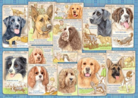 Ravensburger - Trouwe Honden - 1000 stukjes