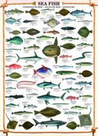 Eurographics 0313 - Sea Fish - 1000 stukjes