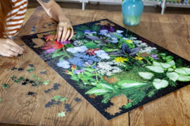 eeBoo - Summer Garden - 1000 stukjes