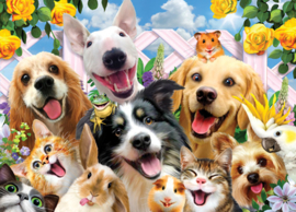 TFF Dubbelzijdige Selfie puzzel - Honden - 500 stukjes