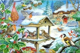 House of Puzzles - Feed the Birds - 250XL stukjes