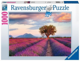 Ravensburger - Lavendel Velden - 1000 stukjes