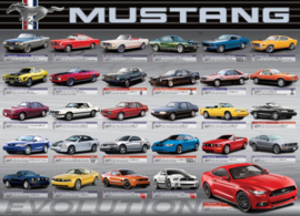 Eurographics 0684 - Ford Mustang Evolution - 1000 stukjes
