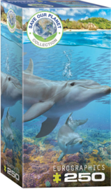 Eurographics 5560 - Dolphins - 250XL stukjes