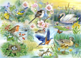 House of Puzzles - Feathered Friends - 250XL stukjes