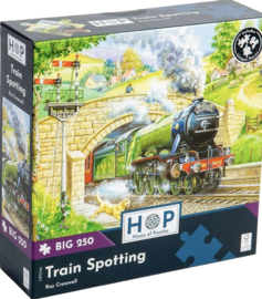 House of Puzzles - Train Spotting - 250XL stukjes