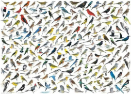 Eurographics 0821 - The World of Birds - 1000 stukjes