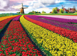 Eurographics 5326 - Tulip Fields Netherlands - 1000 stukjes