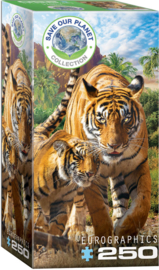 Eurographics 5559 - Tigers - 250XL  stukjes