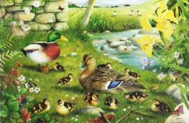 House of Puzzles - Ducks to Water - 500XL stukjes