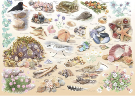 House of Puzzles - Sea Shore - 500XL stukjes