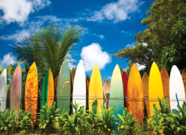 Eurographics 0550 - Surfer's Paradijs Hawaii - 1000 stukjes