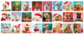 Eurographics Advent Calendar - Christmas Paws - 24x50 stukjes