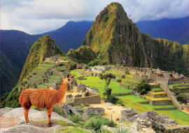 Educa - Machu Picchu, Peru - 1000 stukjes