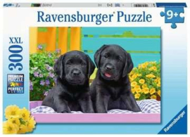 Ravensburger - Zwarte Labradors - 300XXL stukjes