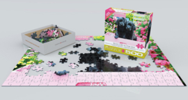 Eurographics 5462 - Black Labs in Pink Box - 500XL stukjes