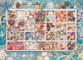 Eurographics 5529 - Seashell Collection - 1000 stukjes