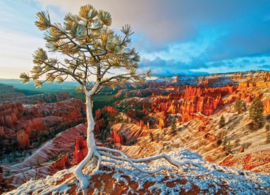 Eurographics 0692 - Winter Sunrise - 1000 stukjes