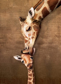 Eurographics 0301 - Giraffe Mother's Kiss 500XL stukjes