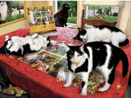 SunsOut 35151 - Who Let the Cats Out? - 1000 stukjes
