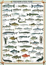 Eurographics 0312 - Freshwater Fish - 1000 stukjes