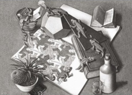 Puzzelman M.C.Escher - Reptielen - 1000 stukjes