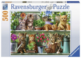 Ravensburger - Katjes in het Rek - 500 stukjes