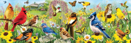 Eurographics 5338 Garden Birds - 1000 stukjes  Panorama