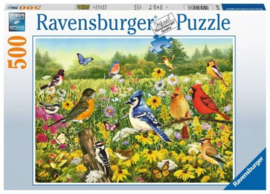 Ravensburger - Vogels in de Wei - 500 stukjes