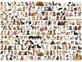 Eurographics 0581 - The World of Dogs - 1000 stukjes