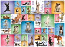 Eurographics 0954 - Yoga Dogs - 1000 stukjes