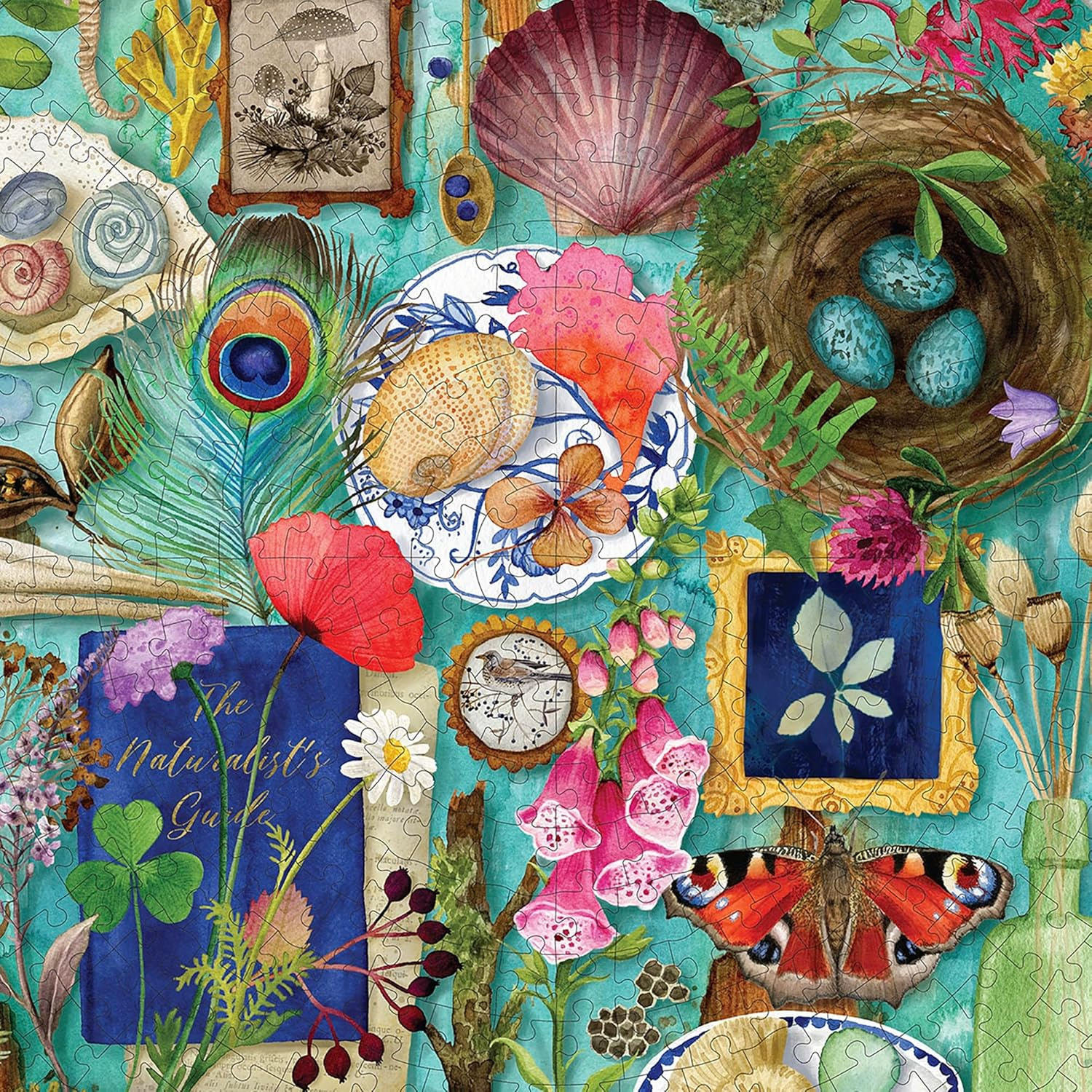 eeBoo - Collecting  Nature - 500 stukjes
