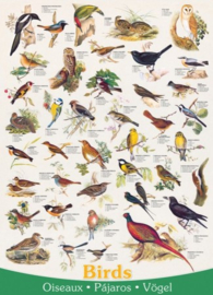 Eurographics 1259  - Birds - 1000 stukjes