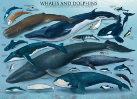 Eurographics 0082 - Whales & Dolphins - 1000 stukjes