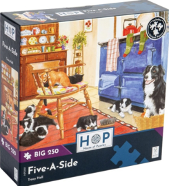 House of Puzzles - Five-a-Side - 250XL stukjes