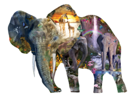 SunsOut 95015 - Elephant Waterfall - 1000 stukjes  Vormpuzzel
