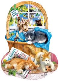 SunsOut 97058 - Free Kitties - 1000 stukjes  Vormpuzzel