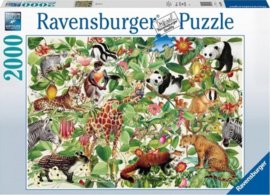 Ravensburger - Jungle - 2000 stukjes